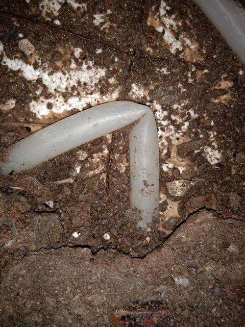 永嘉堵点精准查找